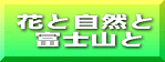 �ꐣ����̃z�[���y�[�W