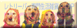 �o�[�i�[.gif