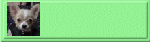 �o�[�i�[.gif
