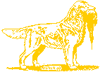 dogtree.gif