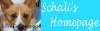 �o�[�i�[.gif