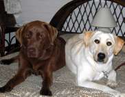 milky&cocoa
