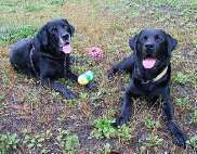 roby&landy