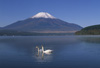 富士山・山中湖 フォト写真館