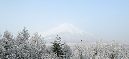 �����̕x�m�R